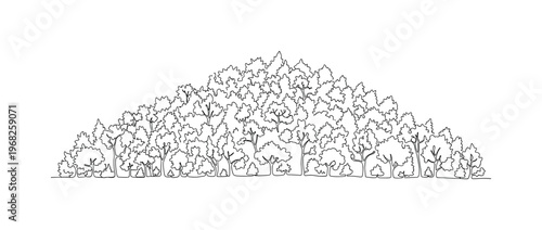 Forest Canopy. Minimalistic one-line drawing overlapping treetops forming dark roof, continuous single black line on white background, simple outline style, no