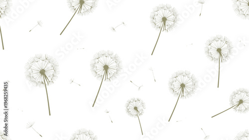Minimalist seamless pattern featuring delicate beige dandelion seed heads and floating seeds on a white background.