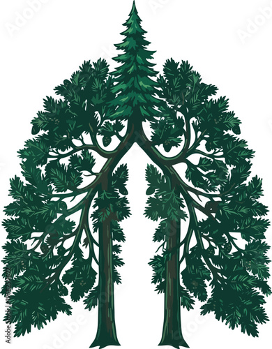 Concept of Natural Respiration and Environmental Health Showing Two Emerald Green Pine Trees Standing Side by Side Forming the Distinct Shape of Human Lungs Symbolizing Clean Air Oxygen Production Car