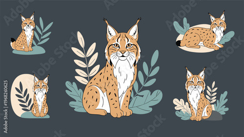 Collection of lynx cat illustrations in various poses surrounded by forest leaves on a dark gray background for nature lovers.