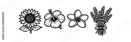 Sunflower, hibiscus, plumeria and lavender flower icons. blossom, bloom, tropical flower, bouquet, botanical elements. line and flat vector illustration.