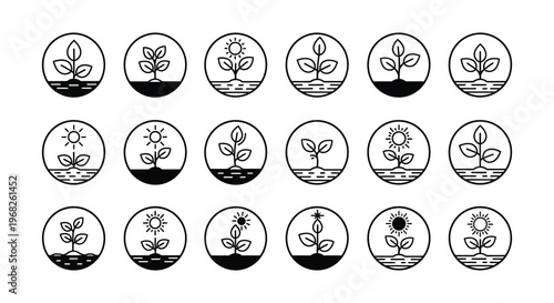 A comprehensive vector graphic illustration showing different stages of plant growth and care through minimalist icons.