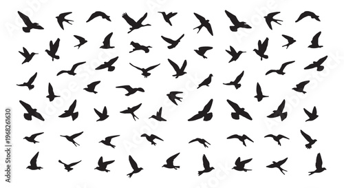 Bird Silhouette Vector Pack – Flying & Fluttering CAD Illustrations