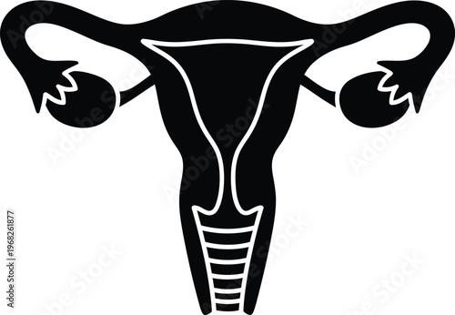 Silhouette of female reproductive system uterus ovaries and fallopian tubes vector illustration