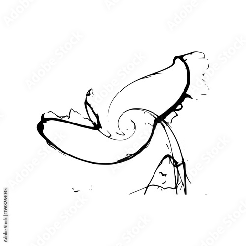 Abstract Black Ink Spiral Flow Minimal Background