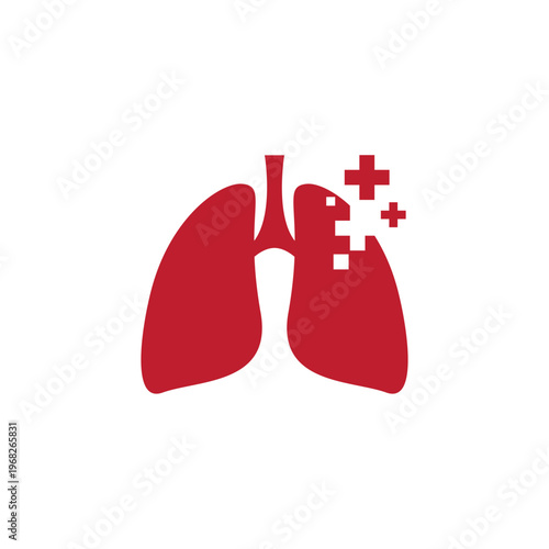 human lungs anatomy illustration