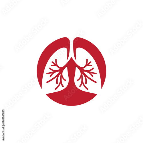 human lungs anatomy illustration