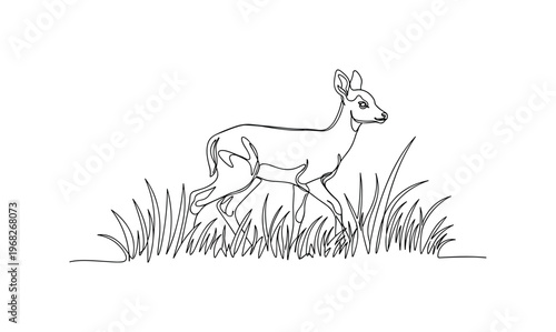 Fawn Walking. Minimalistic one-line drawing baby deer walking through tall grass, continuous single black line on white background, simple outline style, no