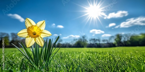 Vibrant Spring Landscape Featuring Colorful Flowers Dancing in the Breeze Under a Blue Sky