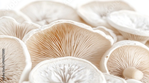 Detailed Cross Sections of Mushroom Caps Showing Interiosity and Fibrous Textures on Dark Background