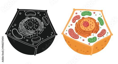 Cell structure diagrams including a striking black silhouette