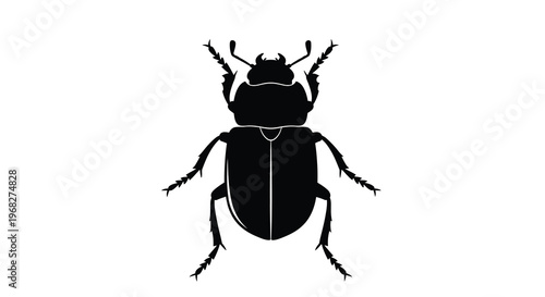 A stark black silhouette depicts a beetle viewed from directly above showcasing its anatomy high quality