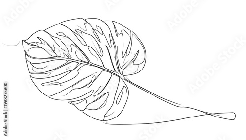 A line drawing of a tropical plant leaf with distinctive fenestrations, capturing organic shapes on a white background