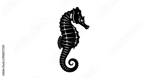 Elegant Black and White Seahorse Illustration on a Clean Background.