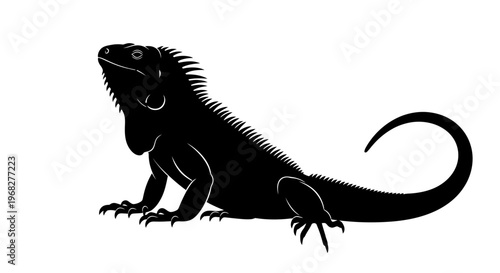 Black silhouette of an iguana on a white background.