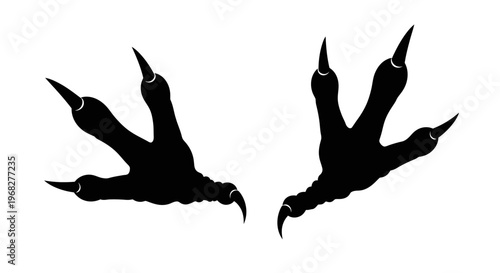Black silhouette of bird or dinosaur footprints on a white background.