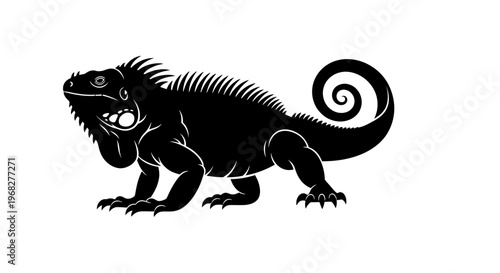 Black silhouette of an iguana on a white background, a detailed illustration of a lizard with a curled tail and spiky back, showcasing its unique reptilian feat