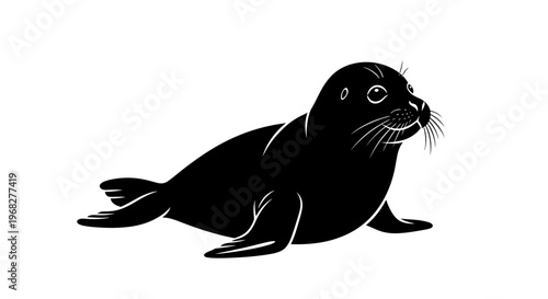 Black and white illustration of a seal, a marine mammal, on a white background, showcasing its sleek body and flippers.