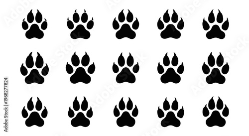 Black paw prints on a white background, arranged in a grid pattern, showcasing animal tracks.
