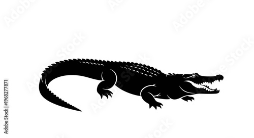 Black silhouette of a crocodile on a white background.