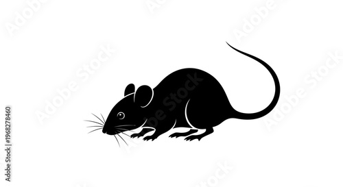 Black silhouette of a mouse on a white background.