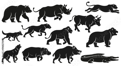 Photography Collection of various wild animals in silhouette form.