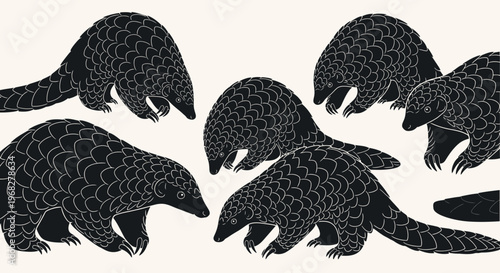 Pangolins in a group, illustration.