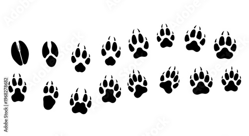 Various animal paw prints and hoof prints in black on a white background, illustrating different animal tracks.