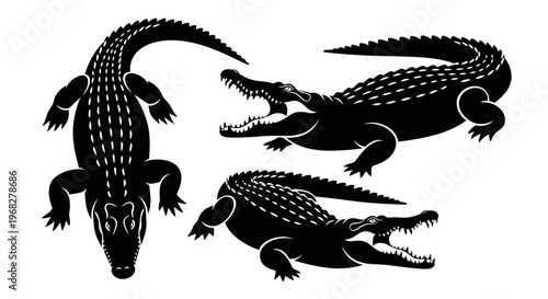 Vector illustration set of crocodiles or alligators in various poses, isolated on white background.