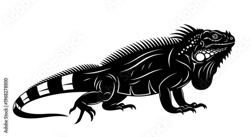 Detailed black and white illustration of an iguana.