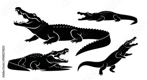 Set of black silhouettes of crocodiles with open mouths, showing their sharp teeth, in various poses, isolated on a white background.