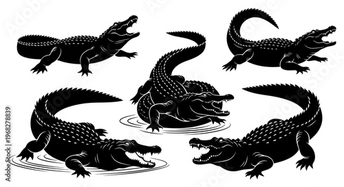 Set of five black and white alligator illustrations in various poses.