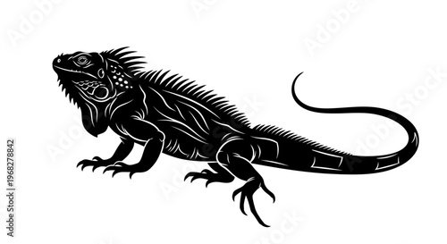Detailed black and white illustration of an iguana.