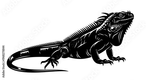 Detailed black and white illustration of an iguana.