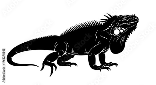Detailed black silhouette of an iguana on a white background.