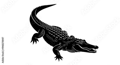 Detailed Engraving of an Alligator on a White Background.