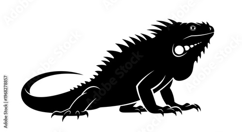 Detailed silhouette of an iguana on a white background.