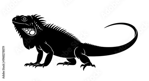 Detailed black silhouette of an iguana on a white background.