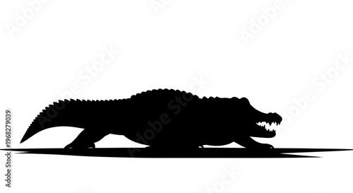 Silhouette of a powerful alligator or crocodile, a dangerous predator.