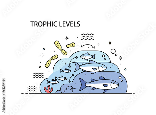 Trophic levels ocean food web concept where plankton, small fish, and large predators appear in sequential layers while tiny sparkle and wave icons highlight