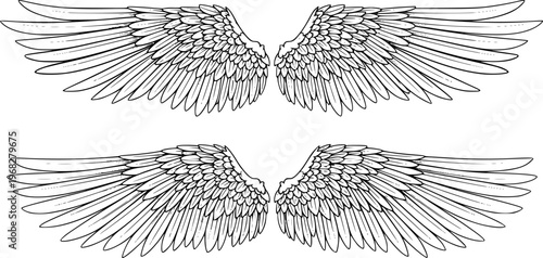Detailed Black Outline Angel Wings Set White Background Isolated