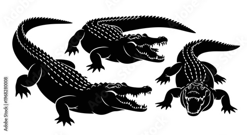 Three powerful alligator silhouettes in various dynamic poses showcasing their strength and reptilian features.