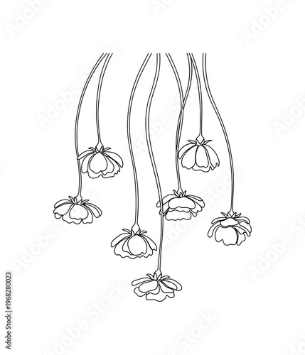 Drooping Blossoms. Minimalistic one-line drawing flowers hanging down from thin stems, continuous single black line on white background, simple outline style,