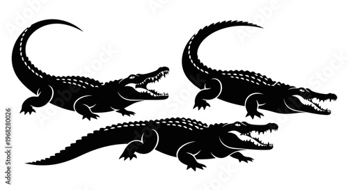 Three powerful alligator silhouettes with open jaws, showcasing their formidable presence and sharp teeth in a striking black and white illustration.