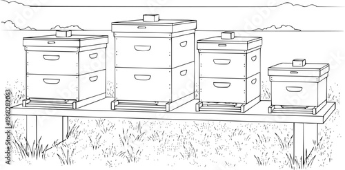 Diverse beehives arranged a wooden platform in a grassy field with distant hills