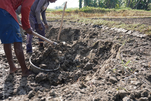 Photography Farmers Tilling Dry Soil with Hoes in Rural Field