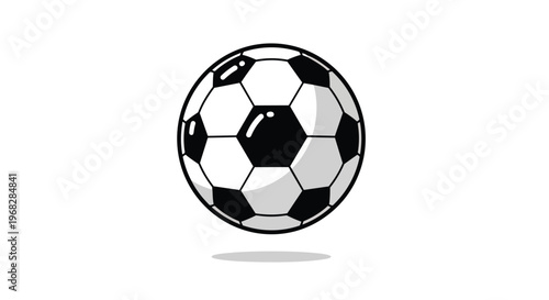 Classic black and white soccer ball illustration with a clean background and subtle shadow casting