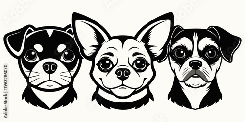 Two cute purebred puppies and a kitten, including a black and white dog and a brown chihuahua, sit together as a group of animals isolated on a white background in a funny studio pet portrait.