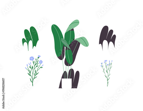 Fashion illustration