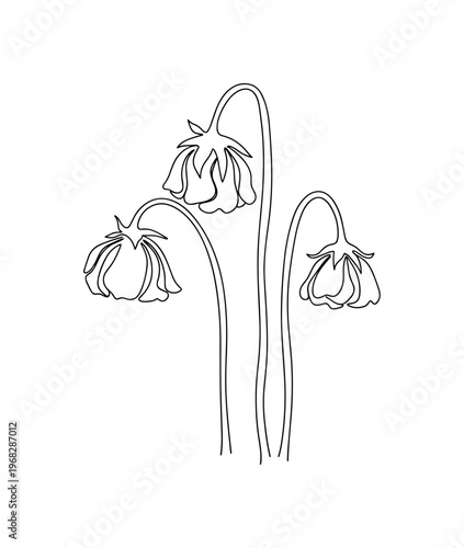 Wilted Stems. Minimalistic one-line drawing drooping flowers with curved stems, continuous single black line on white background, simple outline style, no